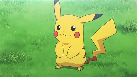 pokachu|pikachu che animale è.
